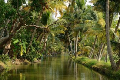 backwaters du Kerala en Inde