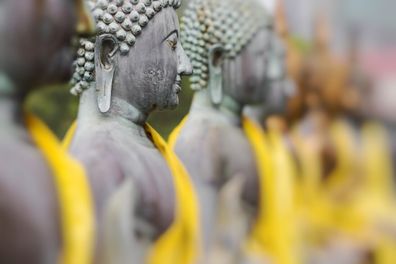 Sri Lanka, statues bouddhiste, spa ayurveda