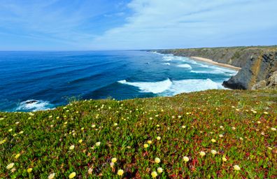 Prairie fleurie et côte de l'Algarve, Portugal