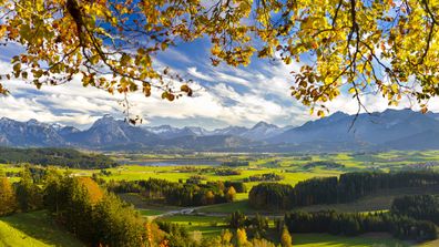 Vue sur le magnifique paysage au bord des Alpes