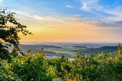 Offres en forêt noire et dans la Eifel