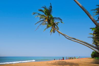 Roman Life Ayurveda Resort Sri Lanka